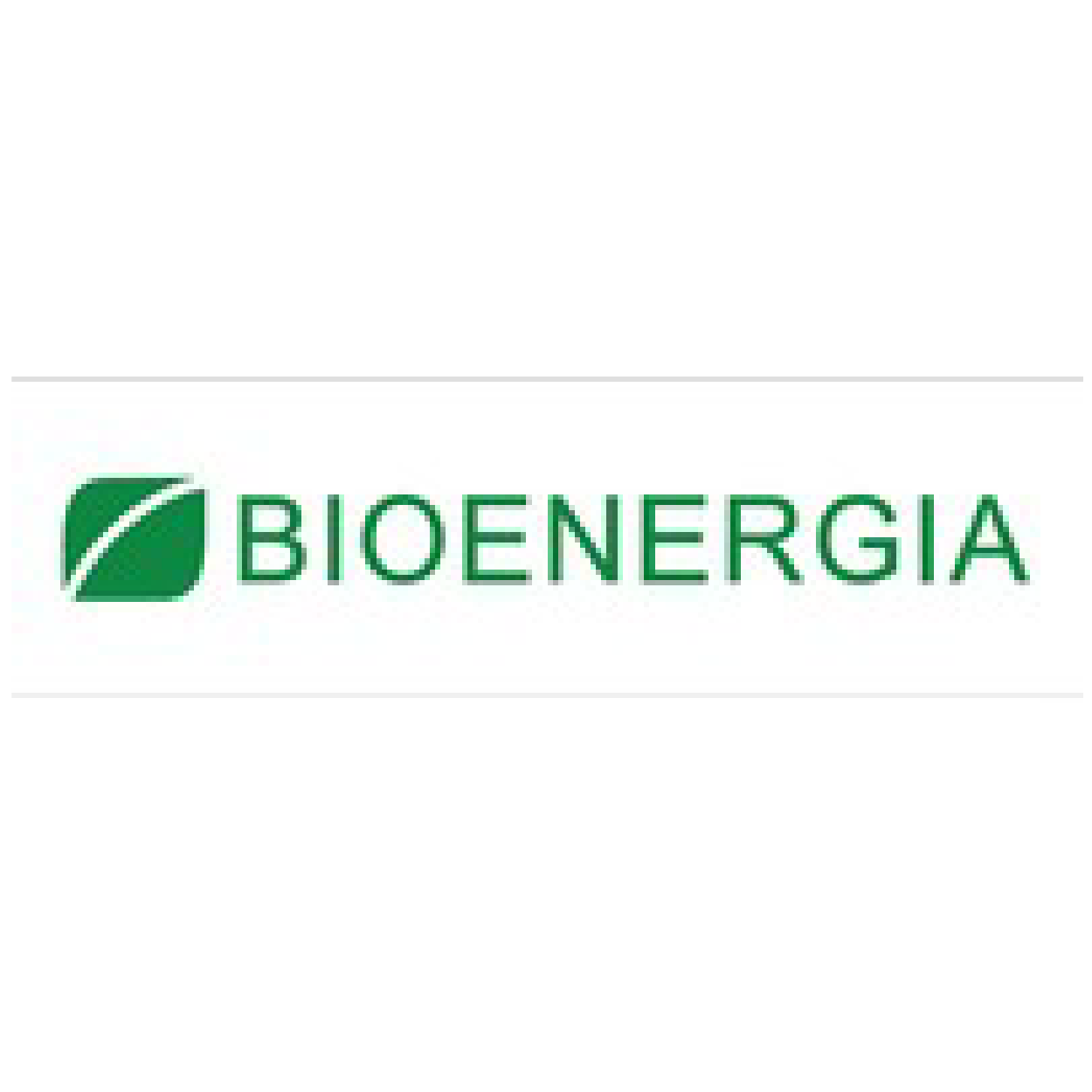 Finnish Bioenergy Association (Bioenergia ry)